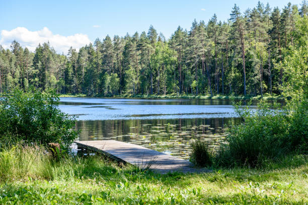 istock reflection of clouds in the lake with boardwalk 801281526