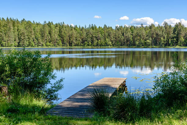 istock reflection of clouds in the lake with boardwalk 801281544