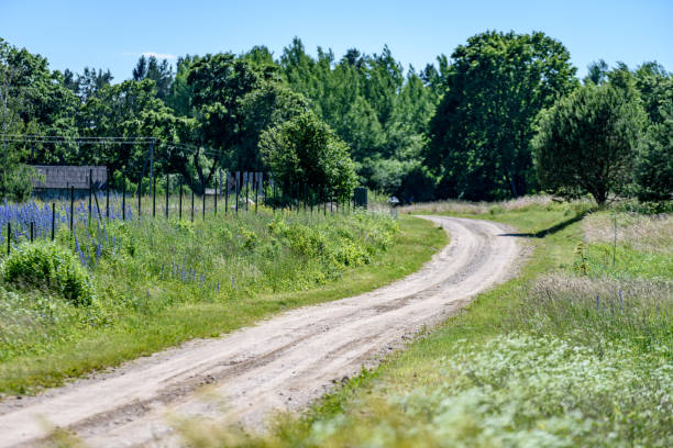 istock empty road in the countryside in summer 801281588
