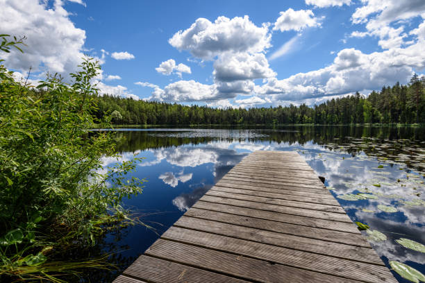 istock reflection of clouds in the lake with boardwalk 801281850