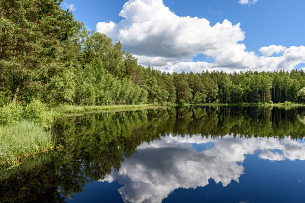istock White clouds on the blue sky over forest lake 801281866