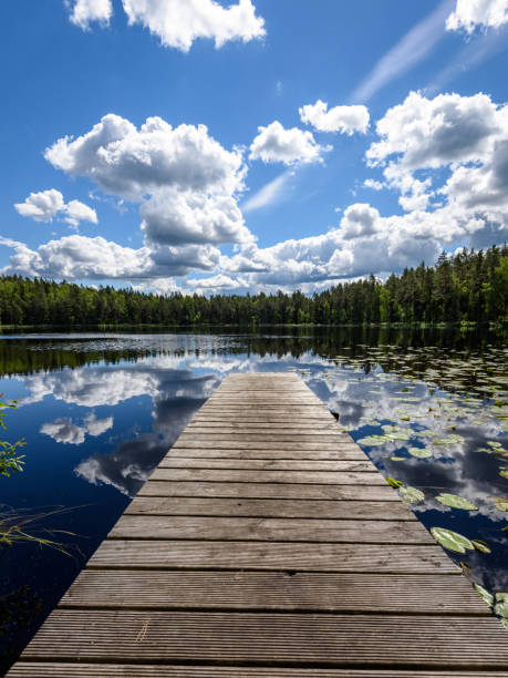 istock reflection of clouds in the lake with boardwalk 801281870