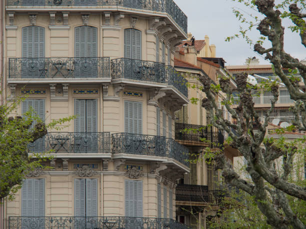 istock canes in france 801281874