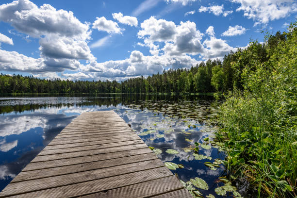 istock reflection of clouds in the lake with boardwalk 801281876
