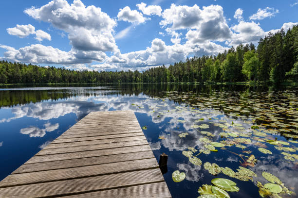 istock reflection of clouds in the lake with boardwalk 801281890