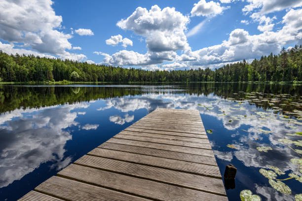 istock reflection of clouds in the lake with boardwalk 801281896