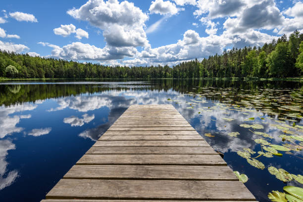 istock reflection of clouds in the lake with boardwalk 801281914