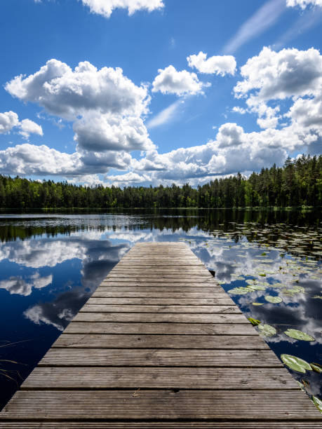 istock reflection of clouds in the lake with boardwalk 801281920