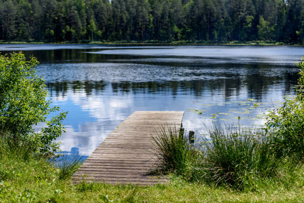 istock reflection of clouds in the lake with boardwalk 801281930