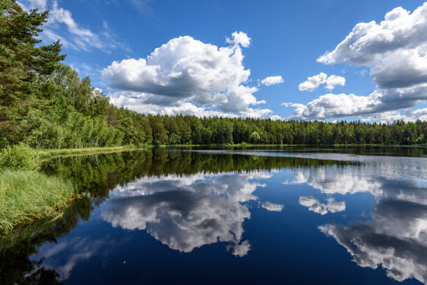 istock White clouds on the blue sky over forest lake 801281958