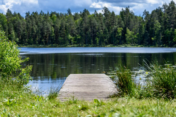 istock reflection of clouds in the lake with boardwalk 801281996