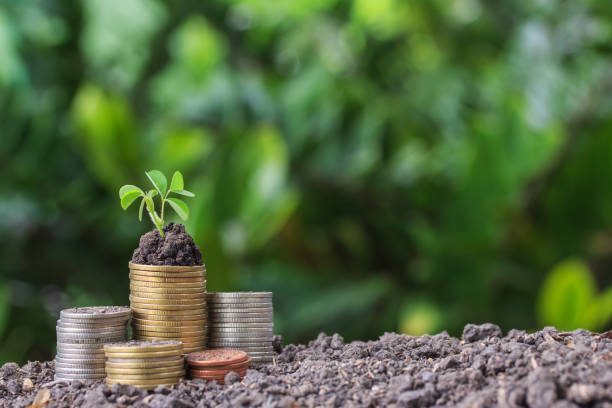 istock Stacked coins placed on the soil and seedling on top. 801284202