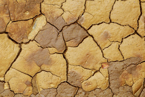 istock Land with dry and cracked ground. 801285466