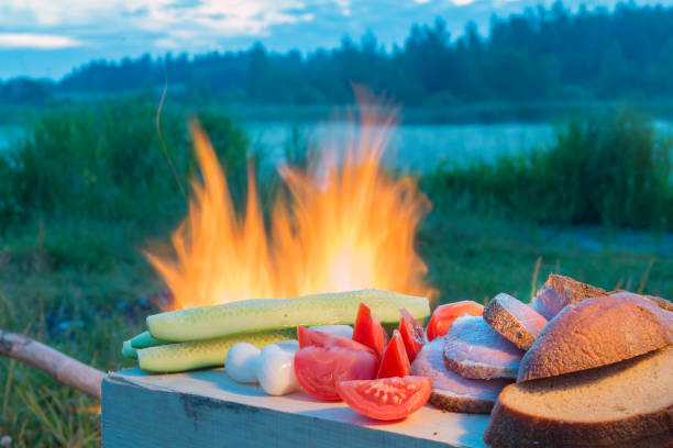 istock Evening dinner outdoors. Meat and vegetables against the background of a fire. 801293546