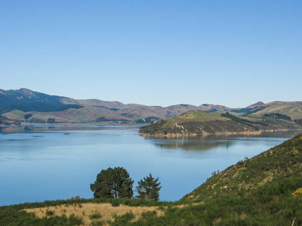 istock new zealand 801294032