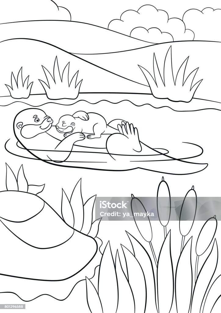 coloring page_otter06_ Coloring pages. Mother otter swims with her little cute baby in the river and smiles. Otter stock vector