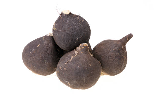 istock Group of four black radishes 801299714