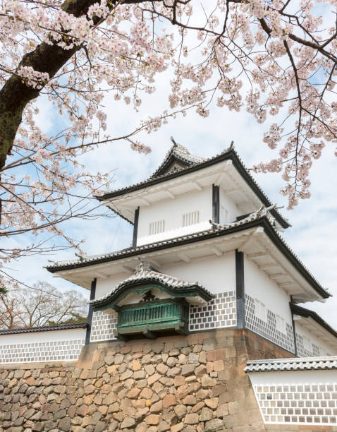 cherry blossoms framing kanazawa castle - spring vertical cherry blossom color image imagens e fotografias de stock
