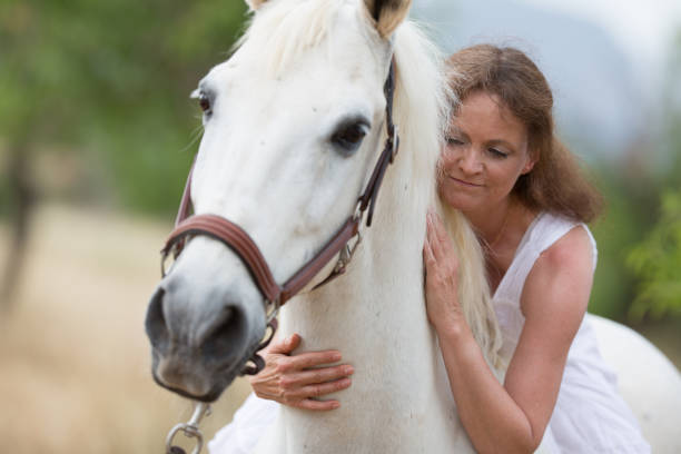 mulher atraente vestido branco com um cavalo branco no campo amarelo - halter horse animal adult - fotografias e filmes do acervo