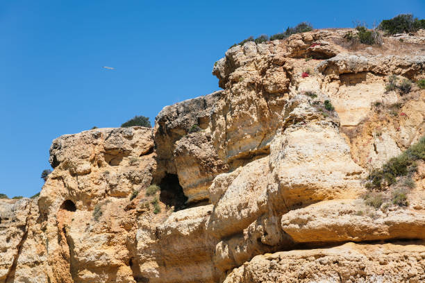 istock eroded sandstone rock on beach of Atlantic ocean 801314986