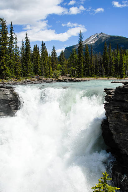 istock Athabasca Falls in the Spring, Canadian Rockies, Alberta, Canada 801315466