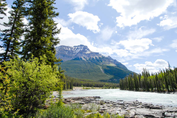 istock Athabasca River and Mountain Range in the Spring, Canadian Rockies, Alberta, Canada 801318016