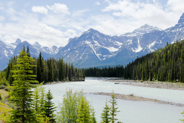 istock Athabasca River and Mountain Range in the Spring, Canadian Rockies, Alberta, Canada 801318108