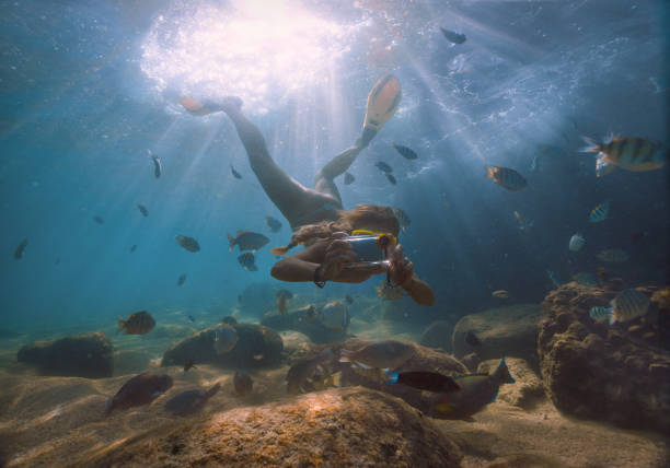 istock photo underwater 801321298