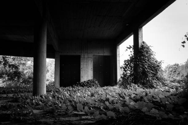 istock Empty elevator shaft in abandoned building in the jungle forest. Dark image. With film noise/grain. Black and white. 801329630