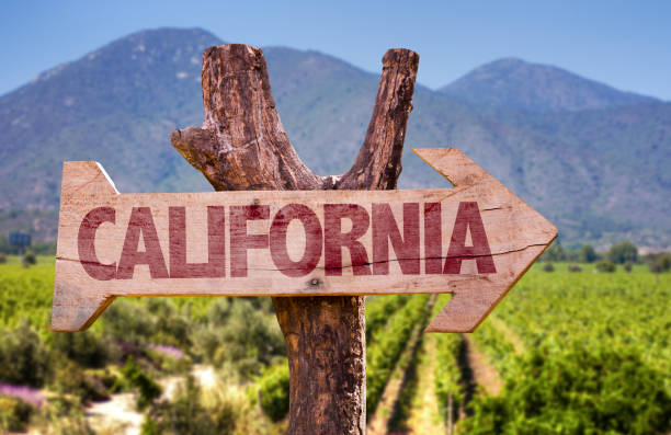 калифорнийский знак направления - napa valley vineyard sign welcome sign стоковые фото и изображения
