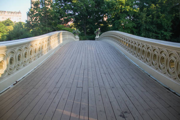 istock Walkway of Bow bridge and trees at Central Park, New York 801346778