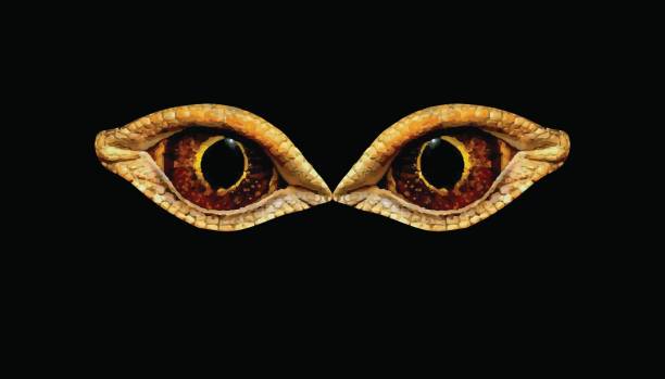 istock Terrible horrible eyes fantastic animal or bird. Eyes dinosaur or snakes 801380592