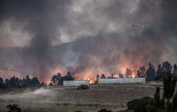 istock Bush Fires, Bergrivier, South Africa 801383228