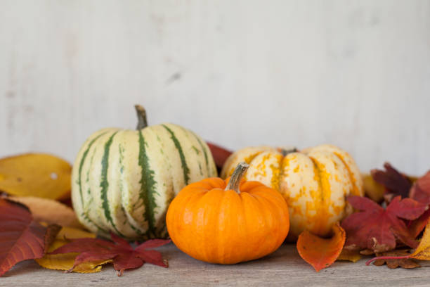 istock Three gourds on the grey wooden table 801383440