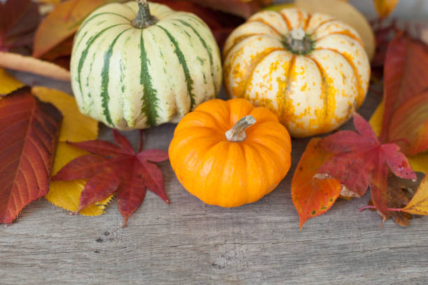 istock Three gourds on the grey wooden table 801383518