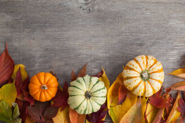 istock Three gourds on the grey wooden table 801383610