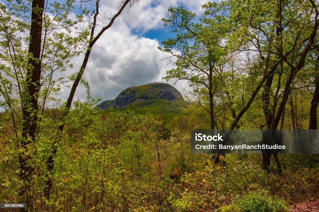 Our Hike Awaits North Carolina Mountain top as seen from a distance in a near-by forest Forest Stock Photo