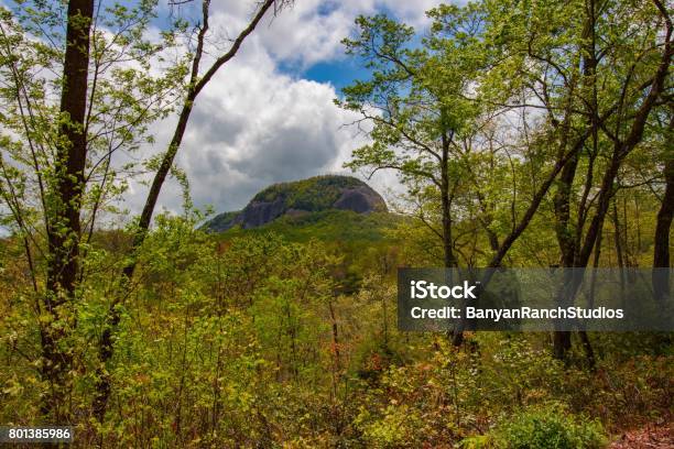 Our Hike Awaits Stock Photo - Download Image Now - Forest, Horizontal, Landscape - Scenery