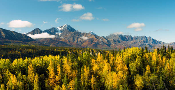 istock High Snow Covered Peaks Chugach Mountain Range Alaska 801386530
