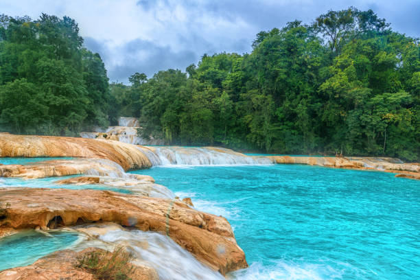 istock Blue Water waterfalls. Blue Water. Yucatan. Mexico 801405528
