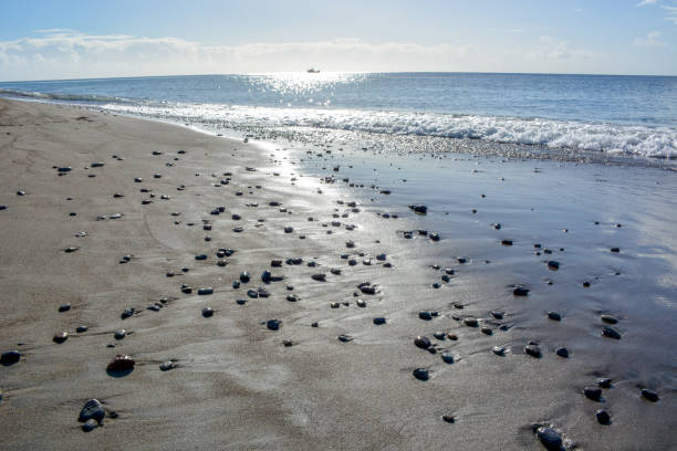 View of the black sand beach in Mero Beach, Roseau, Dominica