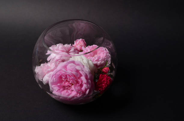 istock Roses on a glass vase, on a black background. 801433020