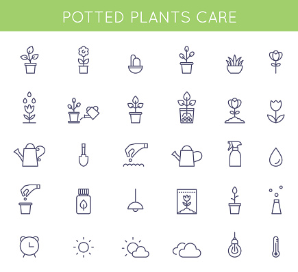 Garden and Potted Plants Care Instructions Icons and Pictograms. Vector Flat Outline Design