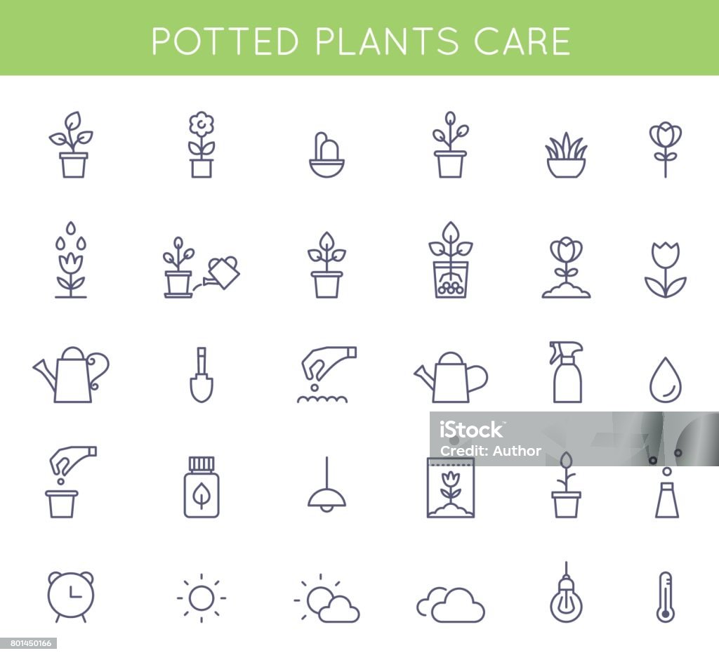 Garden and Potted Plants Care Instructions Icons and Pictograms. Vector Flat Outline Symbols Garden and Potted Plants Care Instructions Icons and Pictograms. Vector Flat Outline Design Plant stock vector