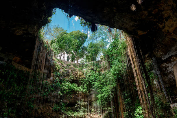 istock Cenote Ecoturistico Ik-Kil 801456780