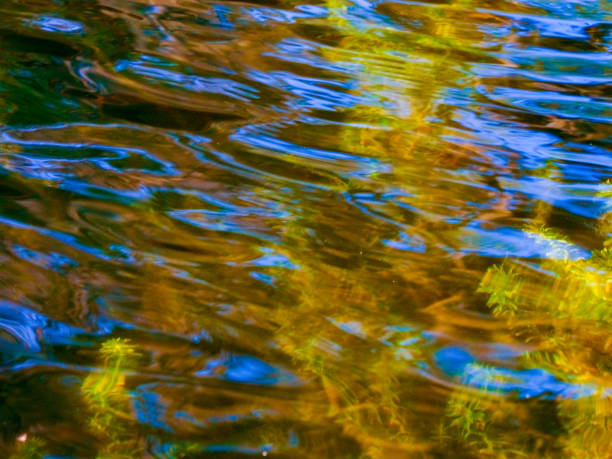 istock Patterns in the surface of a lake 801457508