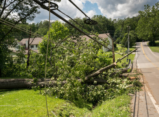 istock Snapped and downed power post and line after storm 801460464