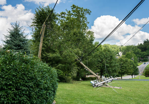istock Snapped and downed power post and line after storm 801460794
