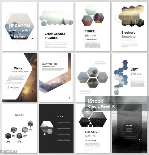 The Vector Illustration Of The Editable Layout Of A4 Format Covers Design Templates For Brochure Magazine Flyer Booklet Report Abstract Polygonal Modern Style With Hexagons Stock Illustration - Download Image Now