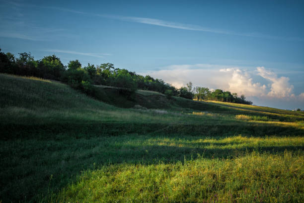 istock Landscape of green valley and blue sky. 801468910